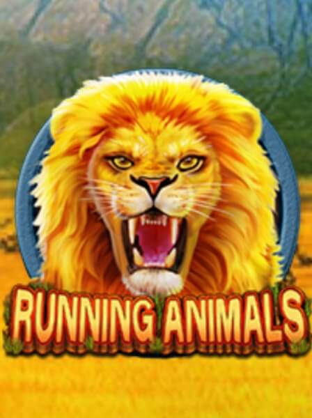 LiveCasino Royale: Where Every Hand is an Adventure